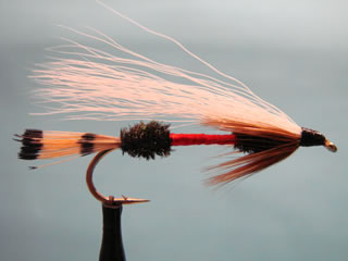 Royal Coachman Bucktail (4-6)